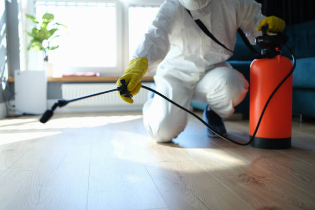 Reliable Sewage Cleanup contractor in Hagerstown, IN by Trauma Clean Pros